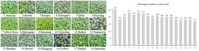 Oolong tea cultivars categorization and germination period classification based on multispectral information